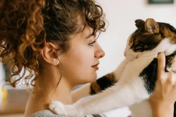 Дослідження японських вчених: як довго коти пам’ятають господарів